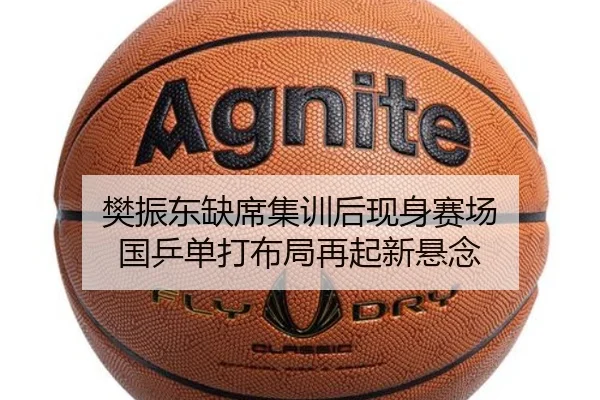 樊振东缺席集训后现身赛场 国乒单打布局再起新悬念